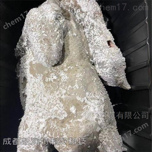 凱潤(rùn)特柜式液氮速凍機(jī)