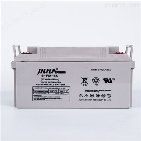 JIUHUA铅酸蓄电池6-FM-100 12V100AH 发电站