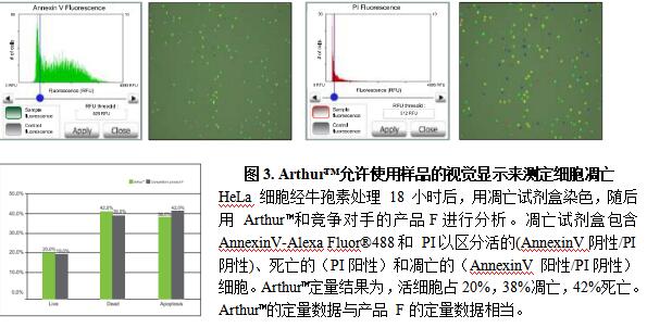 Annexin V凋亡分析.jpg