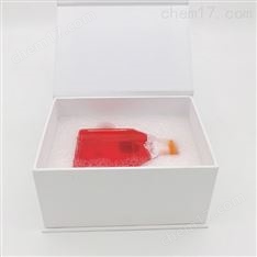 HEK-293 人胚腎細胞