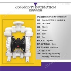 正奧泵業(yè)QBY5-65F型塑料氣動隔膜泵化工泵