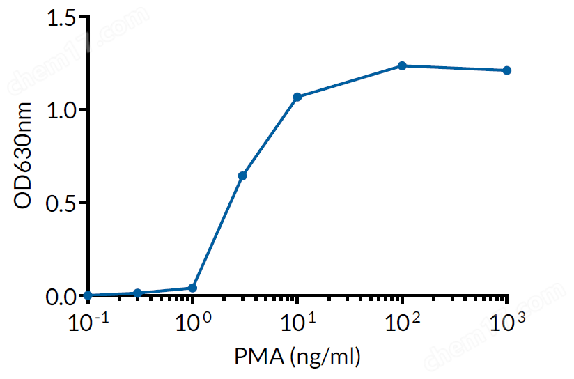 Evaluation of NF-kB activation with <strong>PMA</strong>